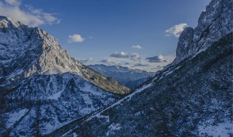 RPAG in 2025 | A Year in Review