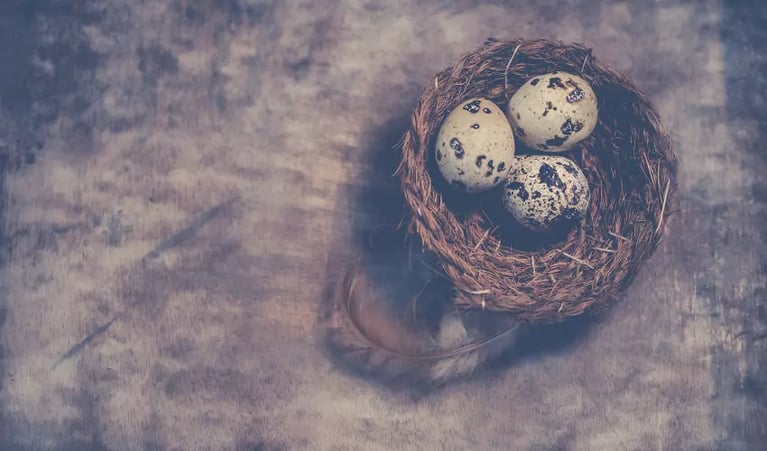 Sponsors Aid Early Birds in Building Retirement Nest Egg